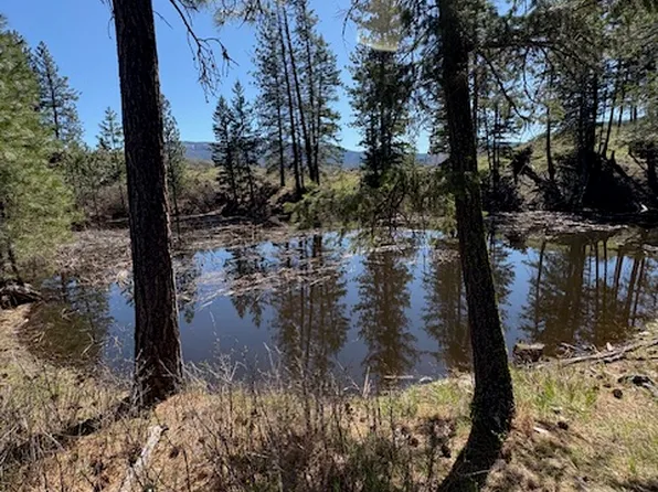 Nkn West Fork Combest Creek Rd, Plains, MT 59859