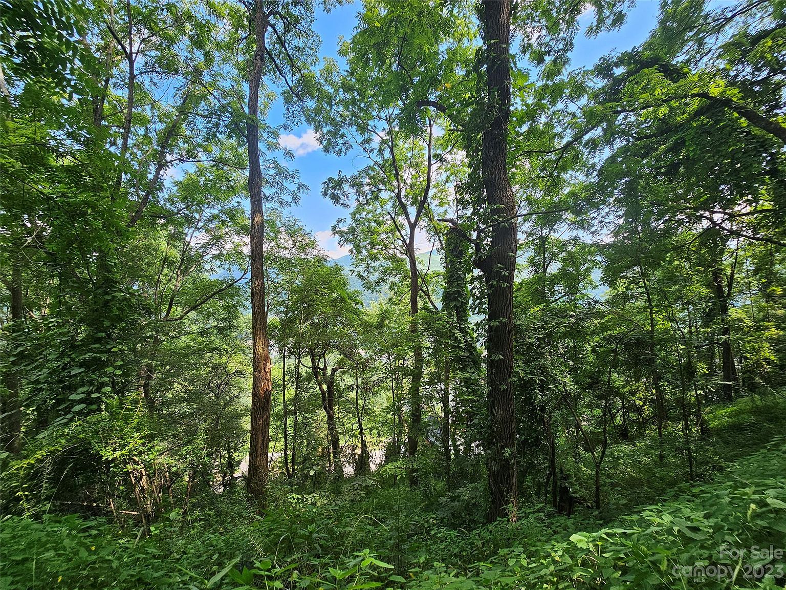 21 Cub Trl, Maggie Valley, NC 28751 Zillow