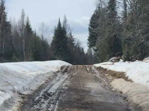 8578 Elvoy Creek Ln, Alvin, WI 54542