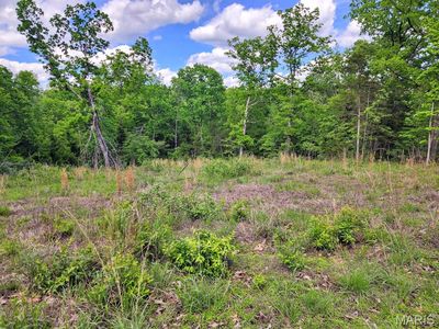 0 Rue Marseilles, Bonne Terre, MO, 63628