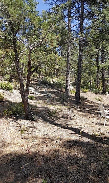 Rennspies property 4