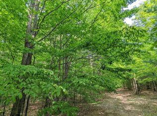 0 Stark Rd, Mancelona, MI 49659