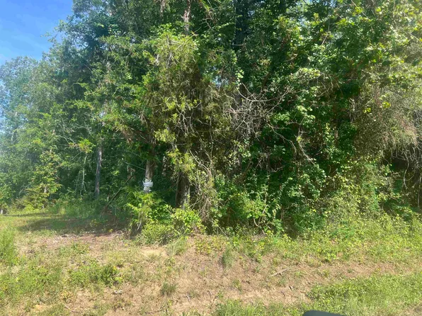 County Road 337, De Berry, TX 75639