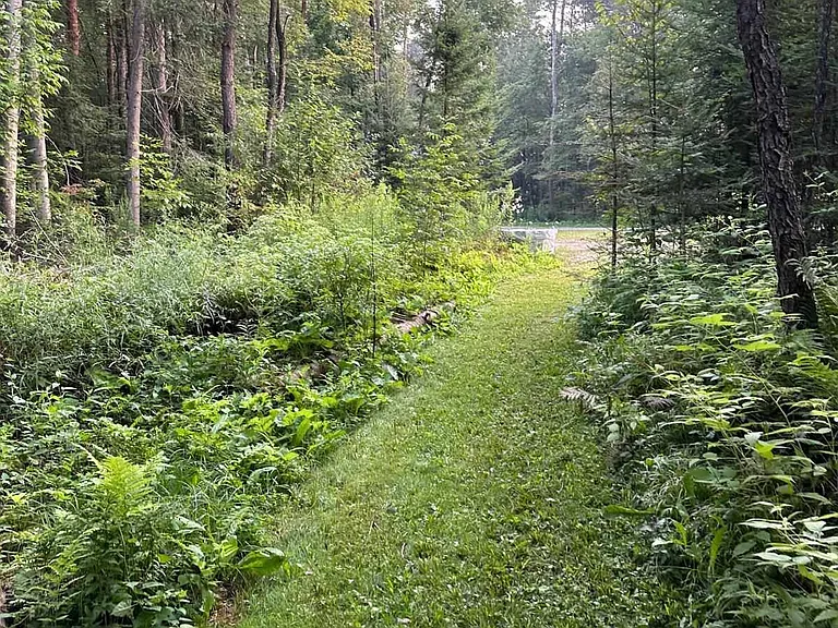 9031 Side Road 17 — Photo 10