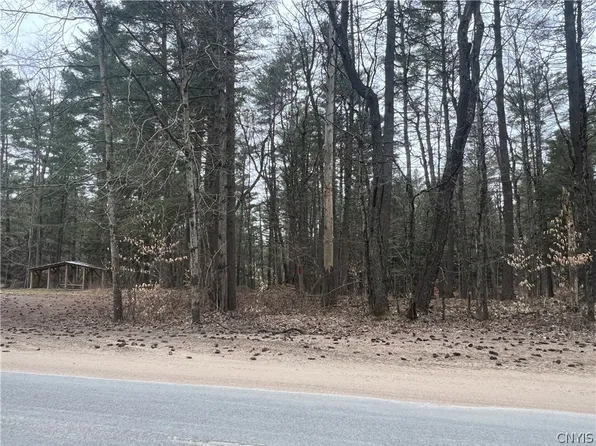 0 Partridgeville Rd #17, Brantingham, NY 13312