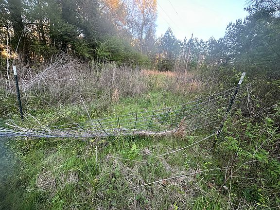 3rd image of Coontail Rd