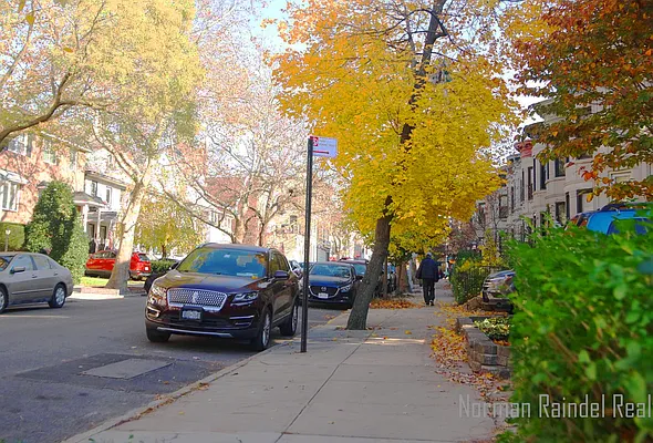 Rented by Norman Raindel, LREB | media 34