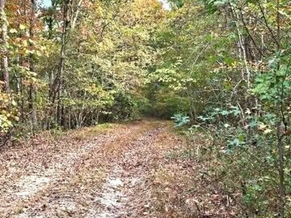0 Fruit Farm Rd, Summerville, GA 30747
