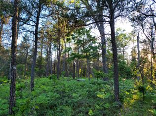 Sandy Trl, Grayling, MI 49738