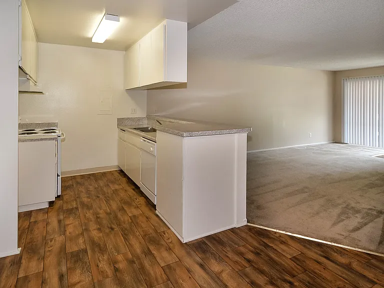Springdale Villa — Photo 13
