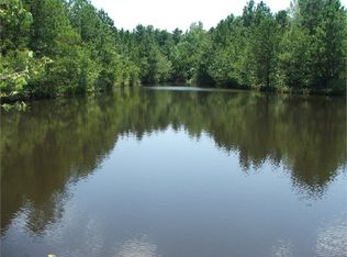 165 Crooked Creek Rd, Sylvania, GA 30467