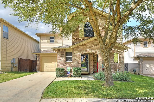 1st image of 4907 Ancient Elm