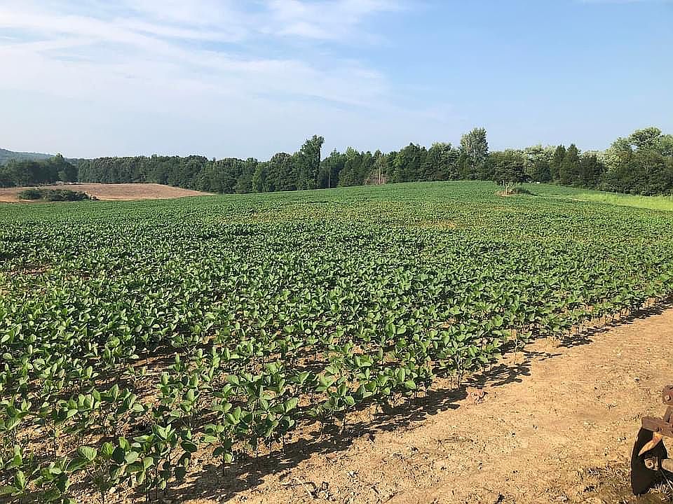 230 Three Mile Creek Rd, Rosiclare, IL 62982 Zillow