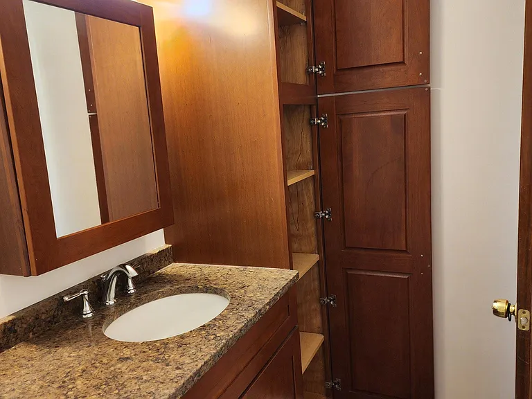 Rear bathroom, with large built in shelving
