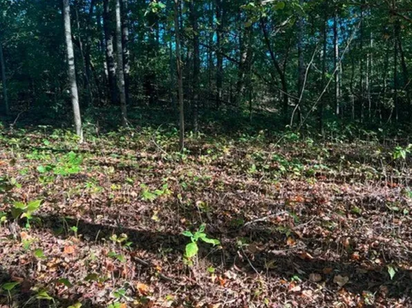 196 Woodstock Dr Lot 176, Rutledge, TN 37861