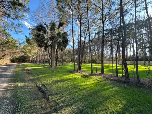 8167 Fisk Ct, Edisto Island, SC 29438