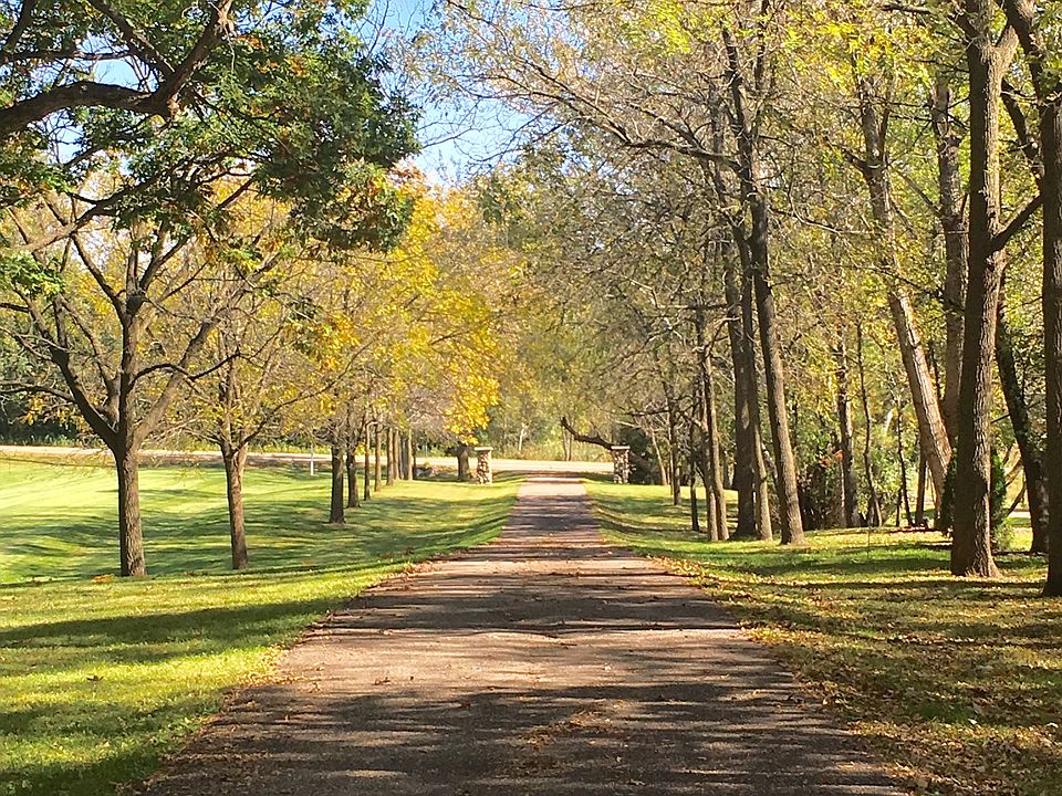 Drwy. lined w/ walnut trees