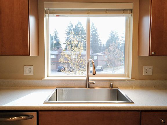 Kitchen window overlooking trees