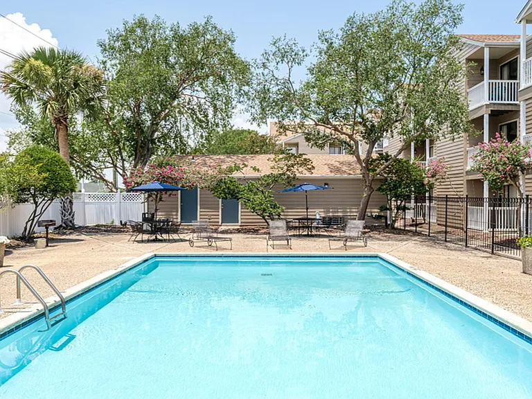 Aviary on West Napoleon — Photo 12
