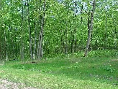 6362 Cobblestone Ln photo 1