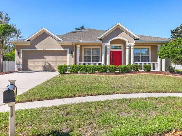 1626 Harvest Grove Ct, Valrico, FL 33596