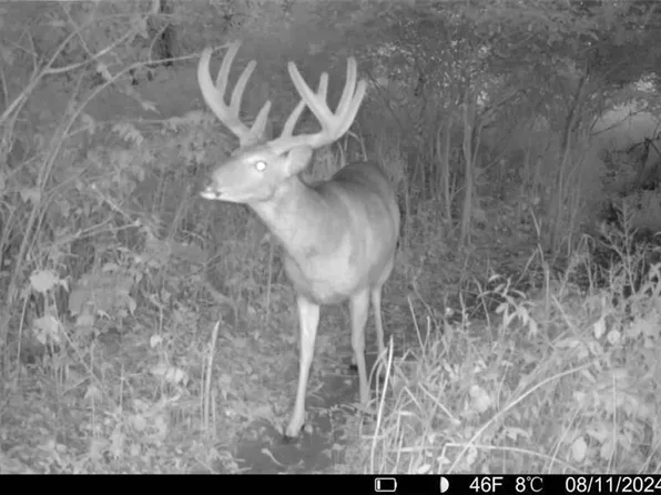 0 County Highway OO, Osseo, WI 54758