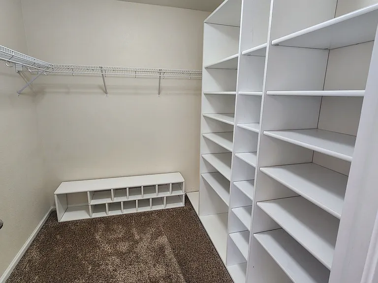 Primary Walk-In closet w/ shelves