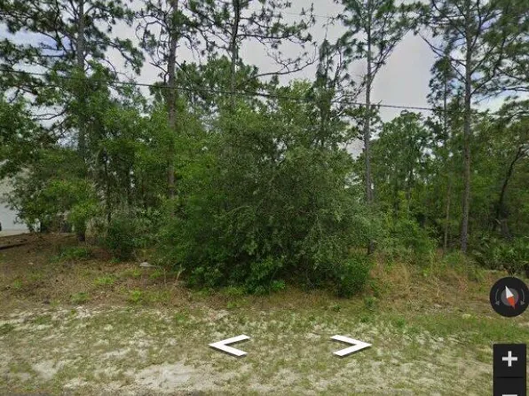 2124 W Linden Drive, Dunnellon, FL 34434