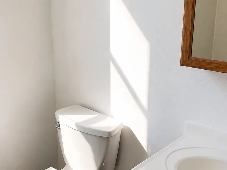 Vanity & Toilet
