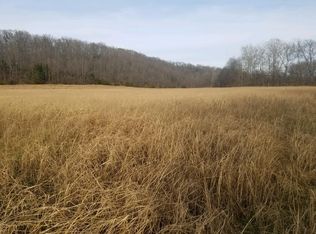 100 Sycamore Ridge Dr, Fordland, MO 65652