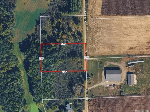 PARCEL Kelch Rd #B, Mayville, MI 48744