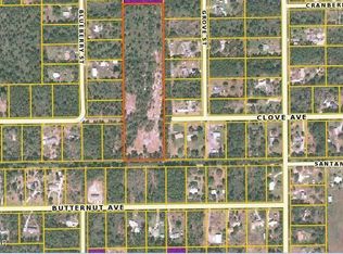 4165 Clove Ave, Bunnell, FL 32110