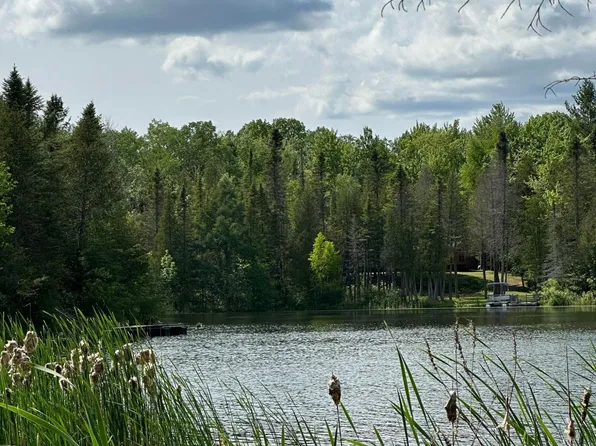 PARCEL 179 W Lake Circle Dr, Curran, MI 48728