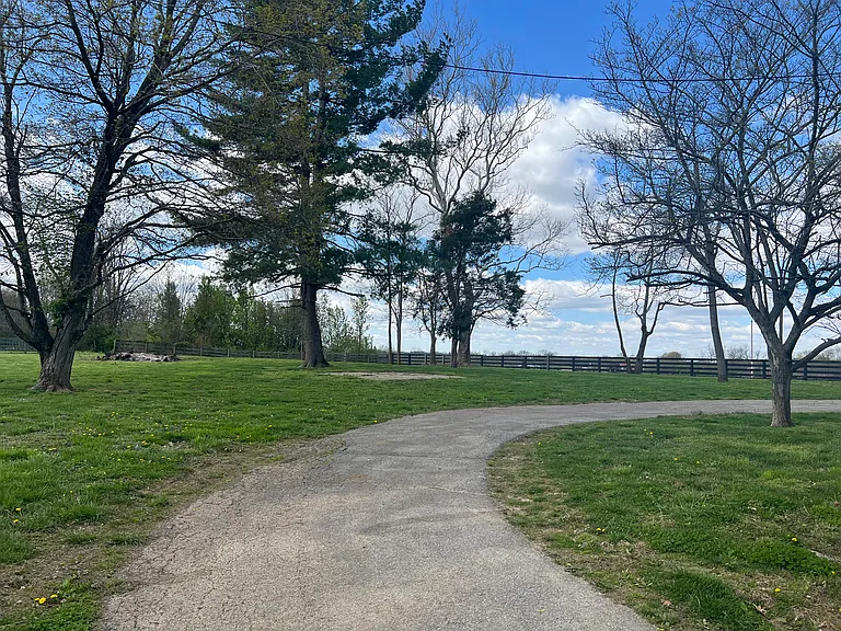 515 Paddock Ln — Photo 4