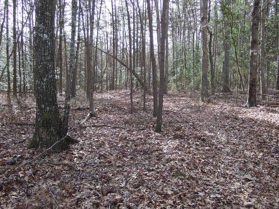 2nd image of 11111 Post Oak Rd