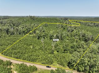 1 Carters Ferry Rd E, Milam, TX 75959