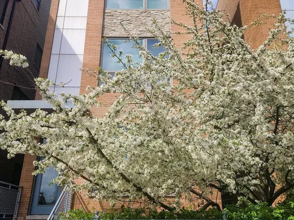 1350 W Diversey Pkwy #3, Chicago, IL 60614