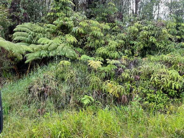 Road 4 Lot 196, Volcano, HI 96785