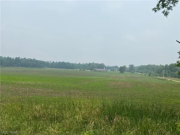 452 S Ridge Rd E, Conneaut, OH 44030