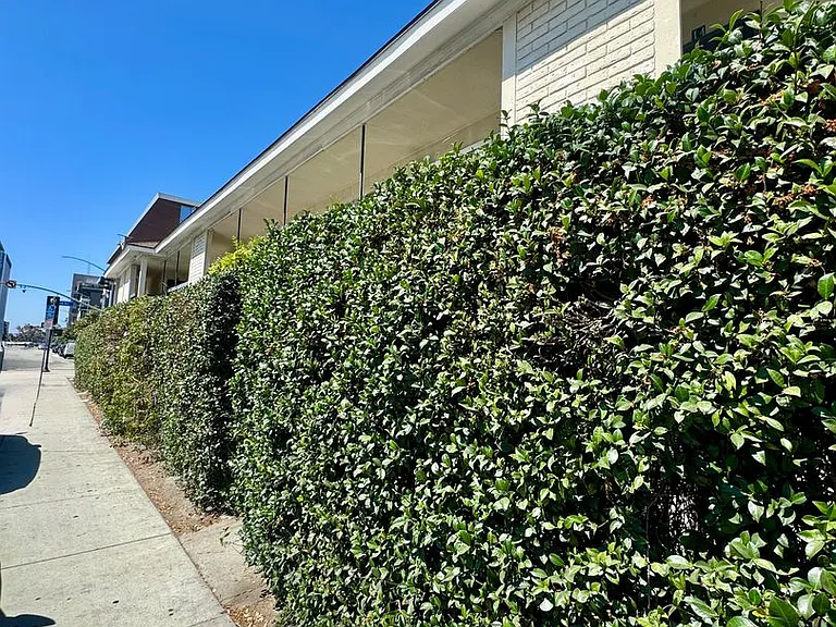 301 Magnolia Ave — Photo 1