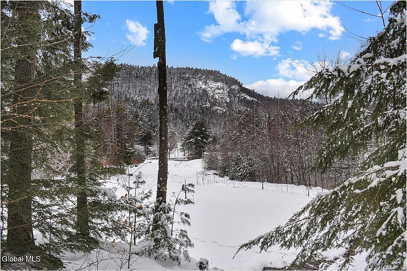 2nd image of 20 Brant Lake Creek Road