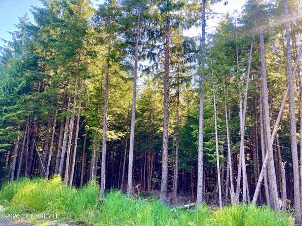 L2 Coffman Hwy, Coffman Cove, AK 99918