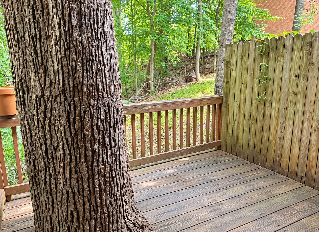 3 bed, 2.5 bath, 1679 sqft, $1,650 — Photo 4