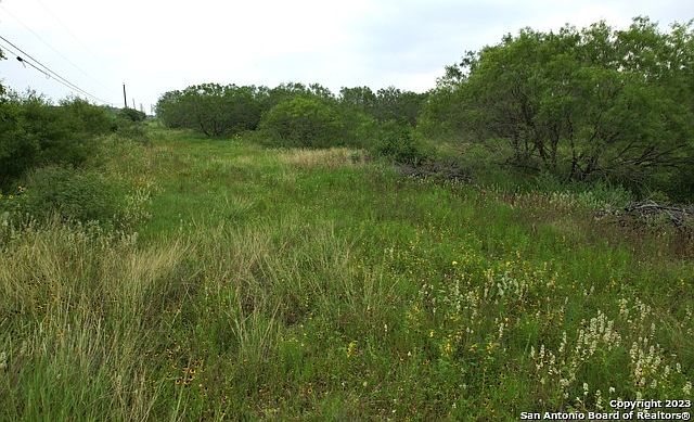 FM 1346 Tract 4 LOT 4, Saint Hedwig, TX 78152, MLS #1694978