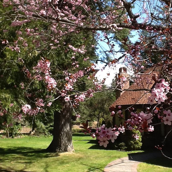 2nd image of 1709 Timber Hills Rd