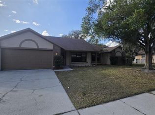 3815 Scovill Ln, Valrico, FL 33596