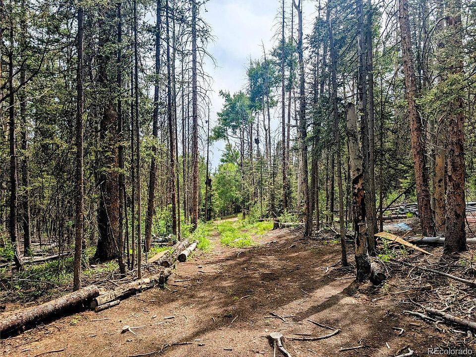 31st image of 8.5 Acres Phillips Road