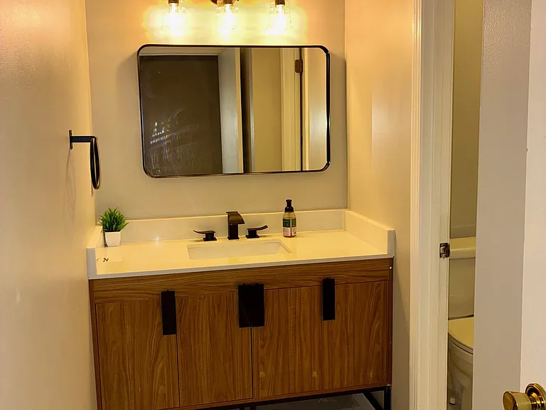 Completely renovated master bathroom with shower