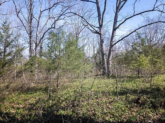 4th image of 0 Shands Rd