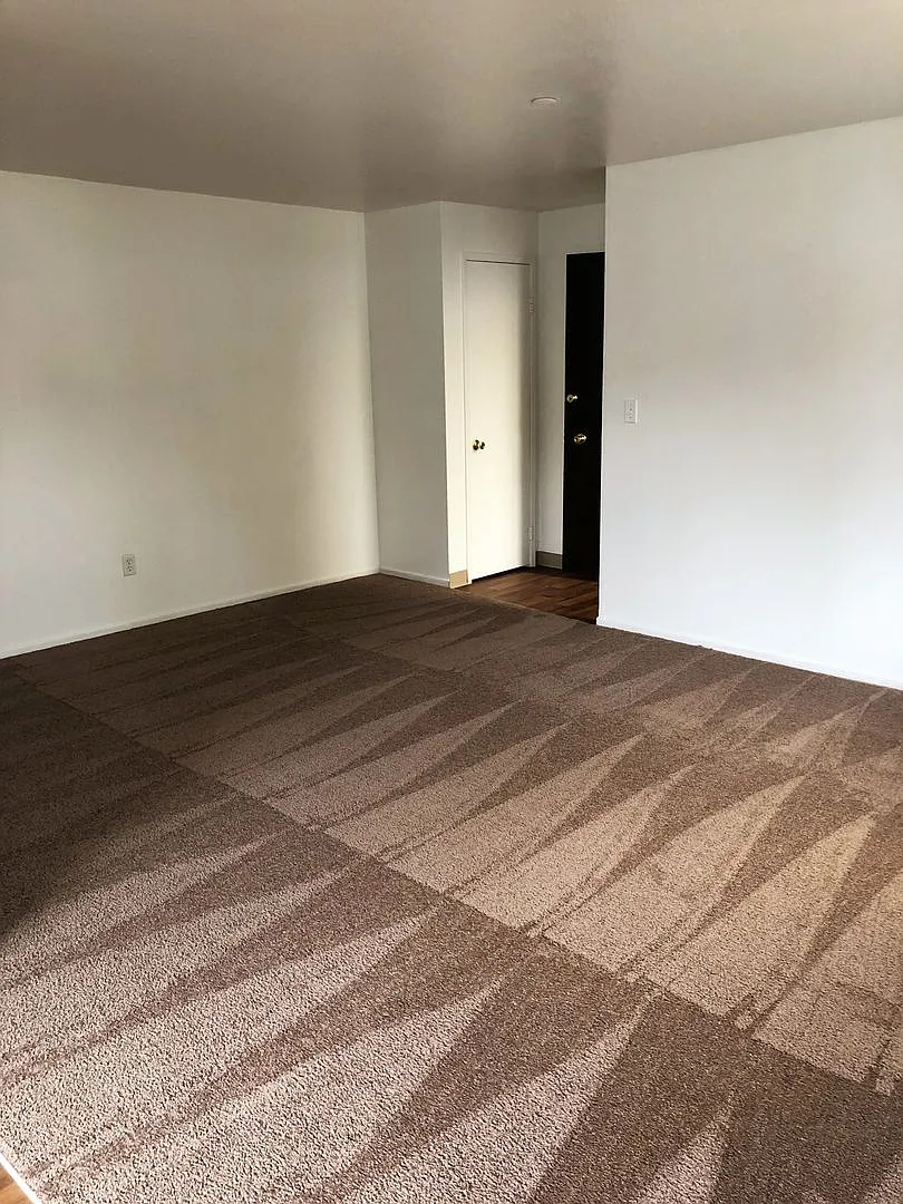 Shannon South Apartments — Photo 2